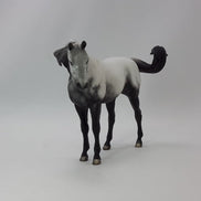 BEING GRATEFUL - OOAK Gray Appaloosa Pebbles