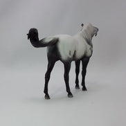 BEING GRATEFUL - OOAK Gray Appaloosa Pebbles