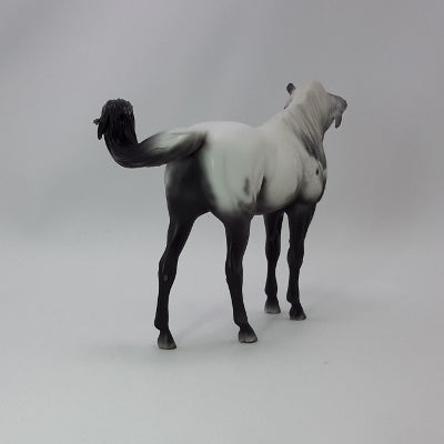 BEING GRATEFUL - OOAK Gray Appaloosa Pebbles