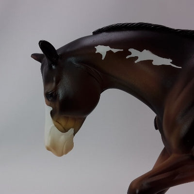 TISQUANTUM - OOAK Bay Paint Performance Model Horse - 11/14