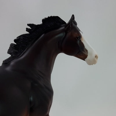 BISCUIT - Dapple Bay Appaloosa Stock Horse