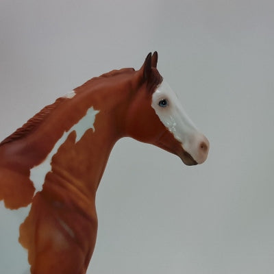 Overo Stock Horse Sculptures