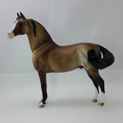 EDWARD WINSLOW - OOAK Dapple Bay Morgan