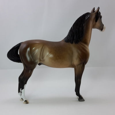 EDWARD WINSLOW - OOAK Dapple Bay Morgan