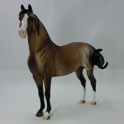 EDWARD WINSLOW - OOAK Dapple Bay Morgan