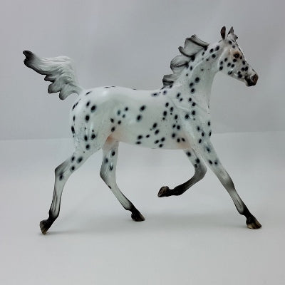 GIVE THANKS - OOAK Leopard Appaloosa Yearling