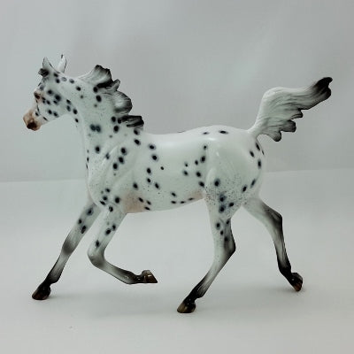 GIVE THANKS - OOAK Leopard Appaloosa Yearling