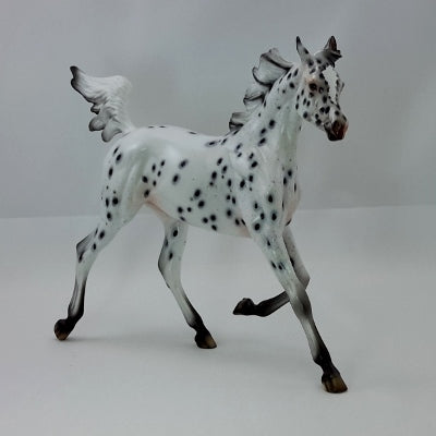GIVE THANKS - OOAK Leopard Appaloosa Yearling
