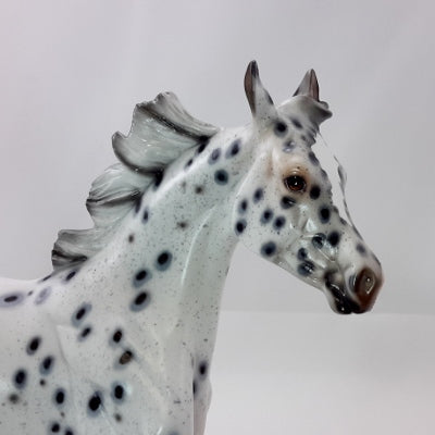 GIVE THANKS - OOAK Leopard Appaloosa Yearling
