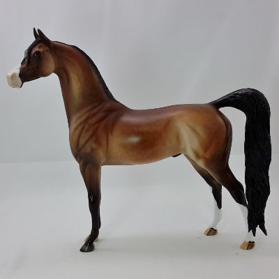 CAPE COD - OOAK Dapple Bay Arabian