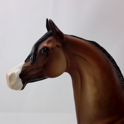 CAPE COD - OOAK Dapple Bay Arabian