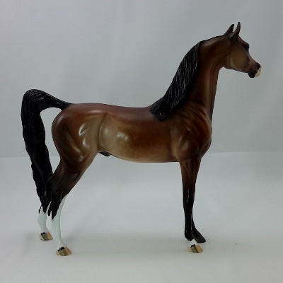 CAPE COD - OOAK Dapple Bay Arabian