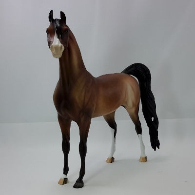 CAPE COD - OOAK Dapple Bay Arabian