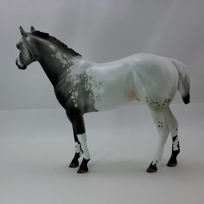 CARVER - OOAK Gray Appaloosa Stock Horse