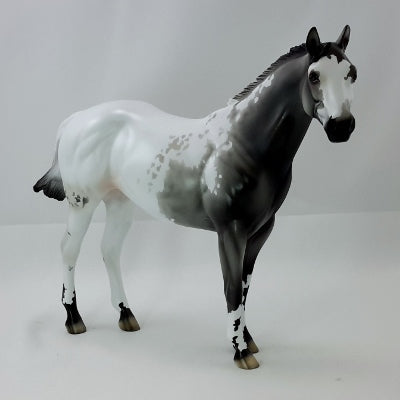CARVER - OOAK Gray Appaloosa Stock Horse