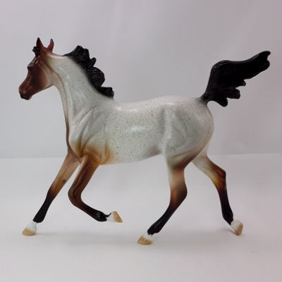 DUMPLIN&#39; - OOAK Bay Roan Weanling