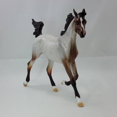 DUMPLIN&#39; - OOAK Bay Roan Weanling