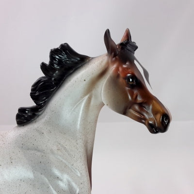 DUMPLIN&#39; - OOAK Bay Roan Weanling