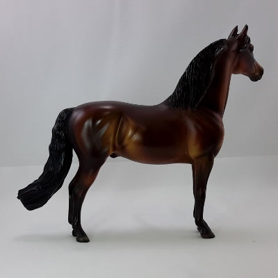 MASSASOIT - OOAK Bay Morgan