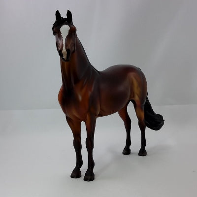 MASSASOIT - OOAK Bay Morgan