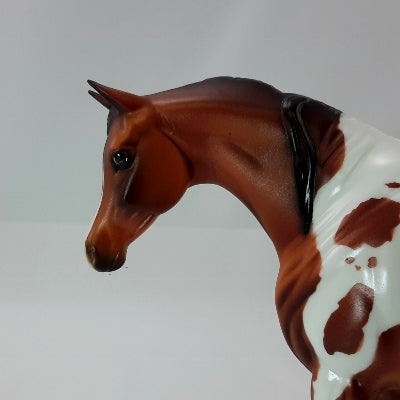 NUTMEGGY - Bay Pinto Arabian Pebbles Model Horse
