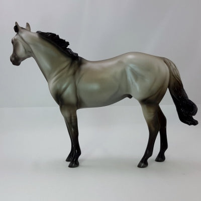 CAPE COD - OOAK Dapple Bay Stock Horse
