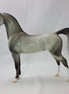 HAMY - Dapple Gray Arabian