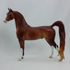 VERMUTH - OOAK Dapple Chestnut Arabian