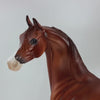 VERMUTH - OOAK Dapple Chestnut Arabian