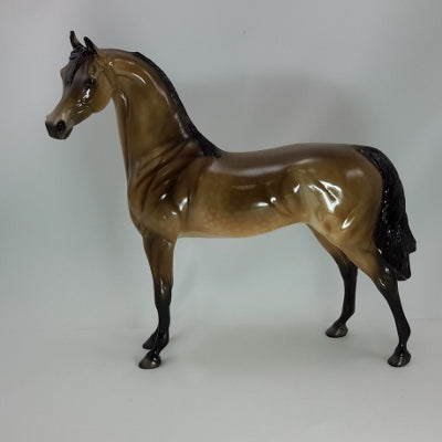 NOEL - OOAK Bay Dapple Arabian Mare 12/14