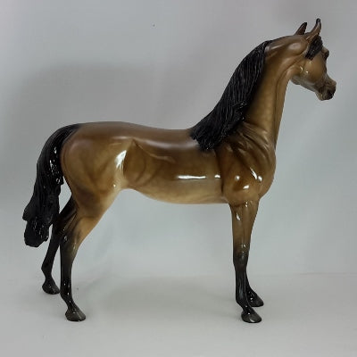 NOEL - OOAK Bay Dapple Arabian Mare 12/14
