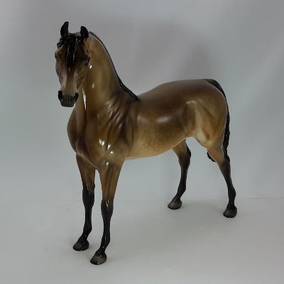 NOEL - OOAK Bay Dapple Arabian Mare 12/14