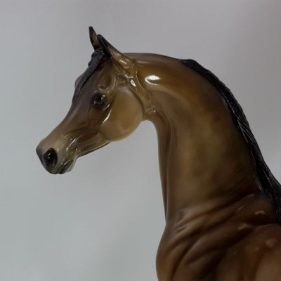 NOEL - OOAK Bay Dapple Arabian Mare 12/14