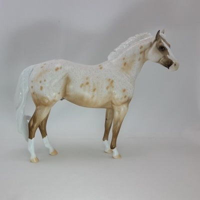HAPPY APPY - Buckskin Leopard Appaloosa SR2 12/14