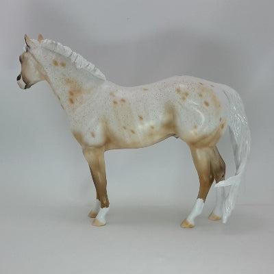 HAPPY APPY - Buckskin Leopard Appaloosa SR2 12/14