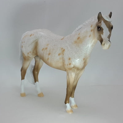 HAPPY APPY - Buckskin Leopard Appaloosa SR2 12/14