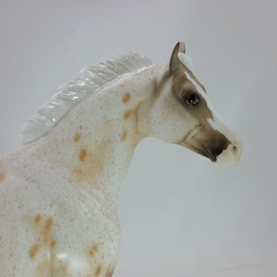HAPPY APPY - Buckskin Leopard Appaloosa SR2 12/14