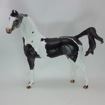 FILLED WITH JOY - OOAK Dapple Gray Pinto Marwari Arabian - 12/14