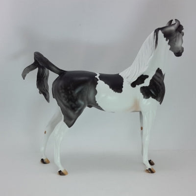 FILLED WITH JOY - OOAK Dapple Gray Pinto Marwari Arabian - 12/14