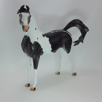 FILLED WITH JOY - OOAK Dapple Gray Pinto Marwari Arabian - 12/14