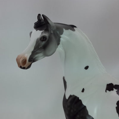 FILLED WITH JOY - OOAK Dapple Gray Pinto Marwari Arabian - 12/14