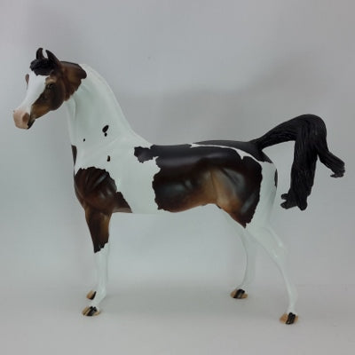 PURE JOY - OOAK Dark Chestnut Arabian Marwari 12/14
