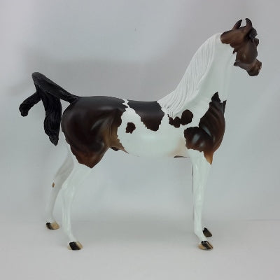 PURE JOY - OOAK Dark Chestnut Arabian Marwari 12/14