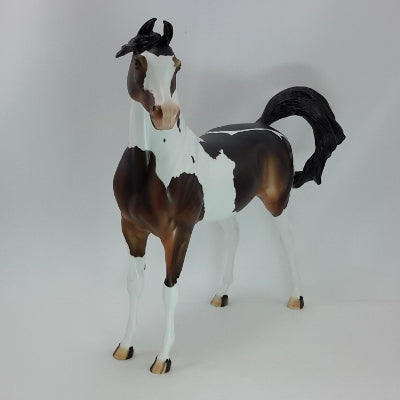 PURE JOY - OOAK Dark Chestnut Arabian Marwari 12/14
