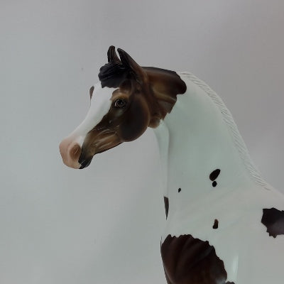 PURE JOY - OOAK Dark Chestnut Arabian Marwari 12/14