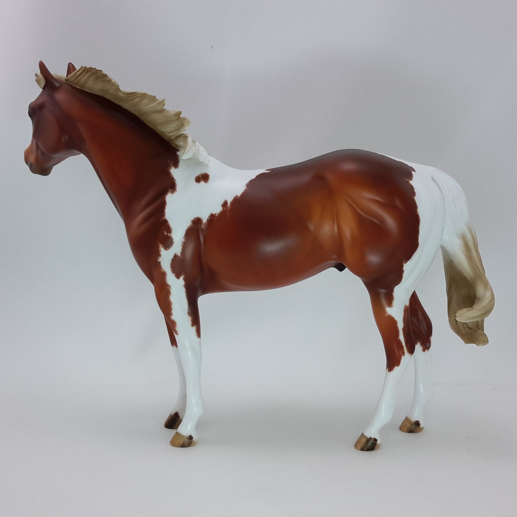 MEEP - OOAK Dapple Chestnut Paint  Stock Horse w/ Etching 12/14