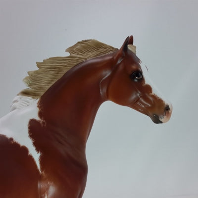 MEEP - OOAK Dapple Chestnut Paint  Stock Horse w/ Etching 12/14