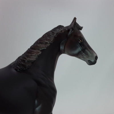 DARK STAR - OOAK Dark Dapple Gray Stock Horse 12/14