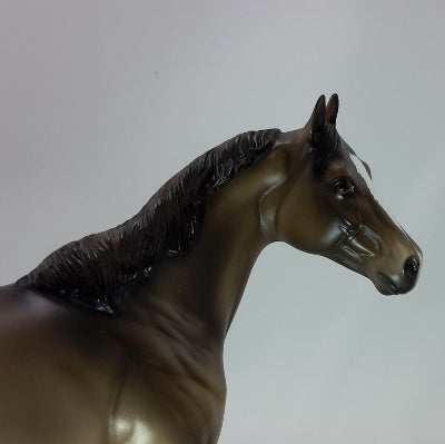 TIME TO GO - OOAK Grulla Stock Horse 12/14