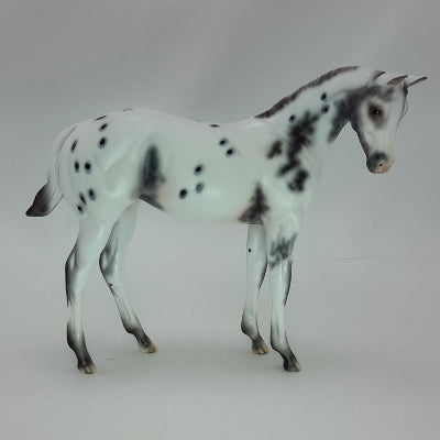 CHRISTMAS CHEER - Leopard Appaloosa Weanling 12/14
